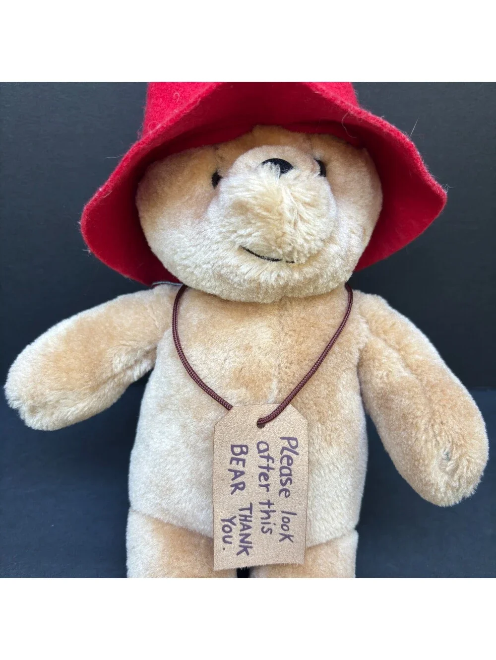 Classic Paddington Bear Soft Bean Plush New NWT 11” Rainbow